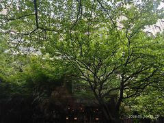 -杭州西湖艺联君亭酒店(黄龙体育中心地铁口店)