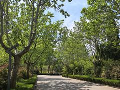 -诸城市恐龙博物馆