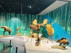 -中国湿地博物馆