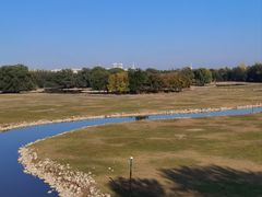 -北京麋鹿生态实验中心