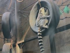 -沈阳森林动物园
