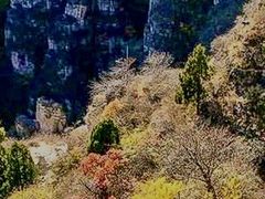 -狼牙山风景区