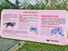 -大连森林动物园