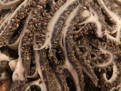 -洪记白水羊头(天坛店)