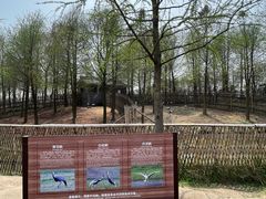 -宁波杭州湾国家湿地公园