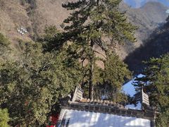 -塔云山