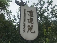 -北京麋鹿生态实验中心