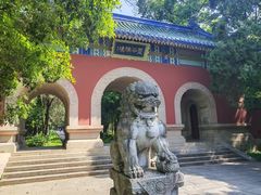 -灵谷景区