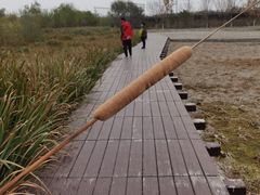 -永定河休闲森林公园