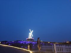 -大塘金香草谷