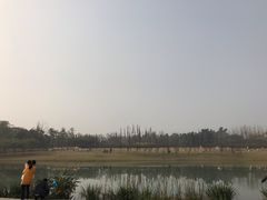 -两河城市森林公园