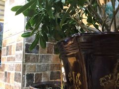 -尕盼舍餐饮新疆名菜(河北东路店)