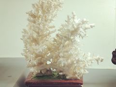 -甘肃地质博物馆