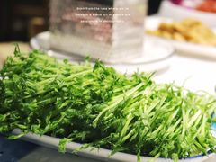活体豆苗-渝蛙先生领鲜美蛙老火锅