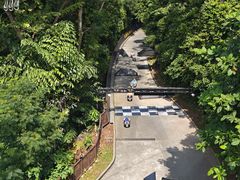 -圣淘沙天际线斜坡滑车