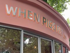 -WHEN PIGS FLY当猪飞