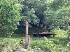 -宁波野生动物园