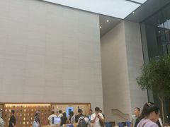 -Apple零售店(苏州店)