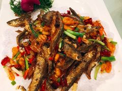 -鑫皇朝酒店(建设一路店)