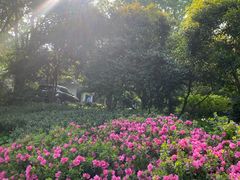 -杭州植物园