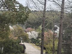 -湾里人家(旺山景区店)