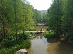 -云溪植物园