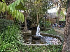 -DOI CHAANG Caffè Maesuai