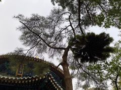 -潭柘寺景区