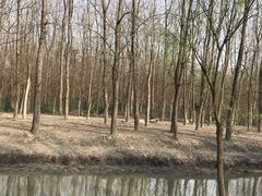 -溱湖国家湿地公园