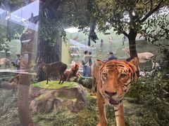 -国家自然博物馆