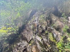 -东天目山风景区