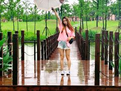 景点-上海长兴岛郊野公园