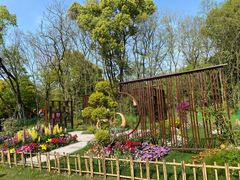 -上海共青森林公园