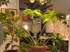 -懒人盐府人家(航天桥店)