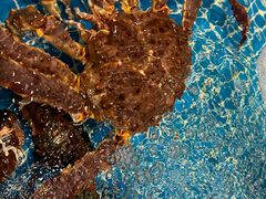 -好礼家海鲜•海肠捞饭大王(金沙滩念慈别墅店)