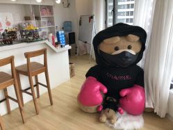 -E.L.K造型momopark店