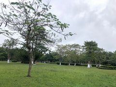 -万绿园
