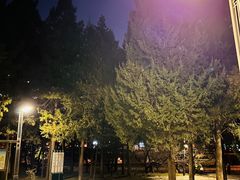 -元大都城垣遗址公园