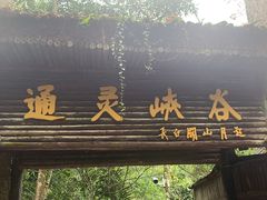 -通灵大峡谷