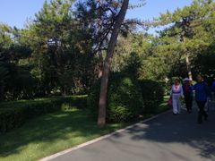 -迎泽公园