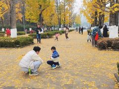 -百林公园-两江幸福广场