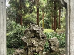 -杭州植物园