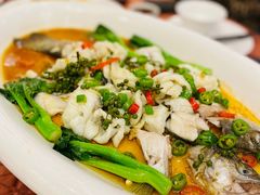 鲜花椒蒸鲈鱼-顺悦酒家(嘉信城市广场店)
