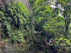 -青城山