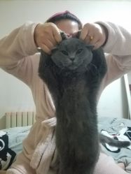 -雅梵伊容·护肤·造型
