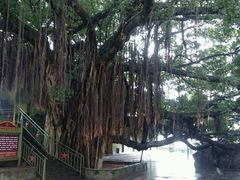 android_upload_pic-大嶝英雄三岛战地观光园