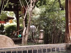-观唐（国际）度假村温泉