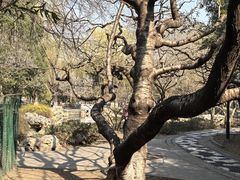 -宣武艺园