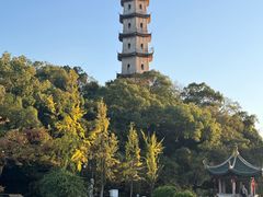 -江心屿景区