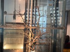 -穹六人间 people 6(岳阳路店)